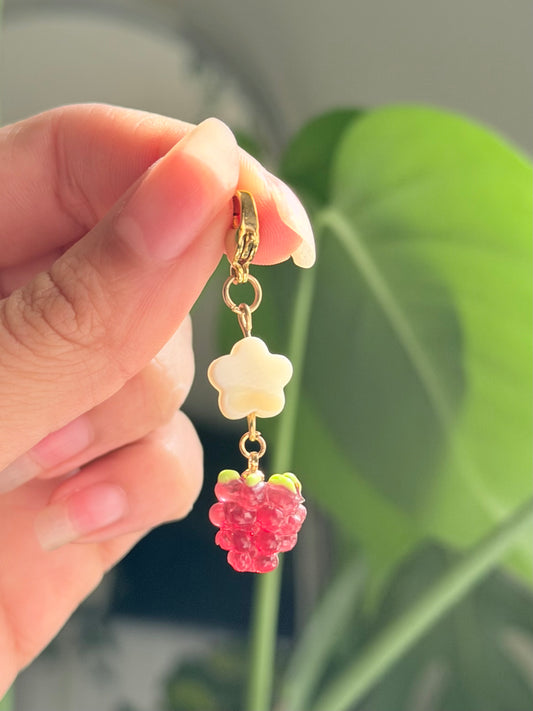 Raspberry charm￼